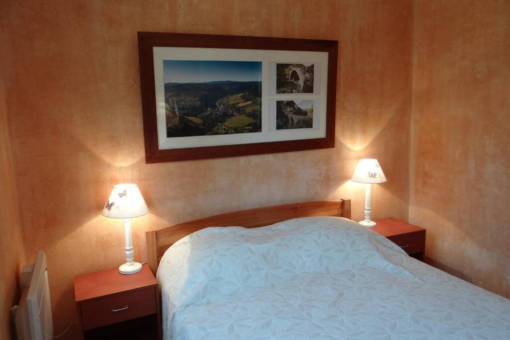 L'Arbre A Soleil Villa Aigues-Vives  Ngoại thất bức ảnh