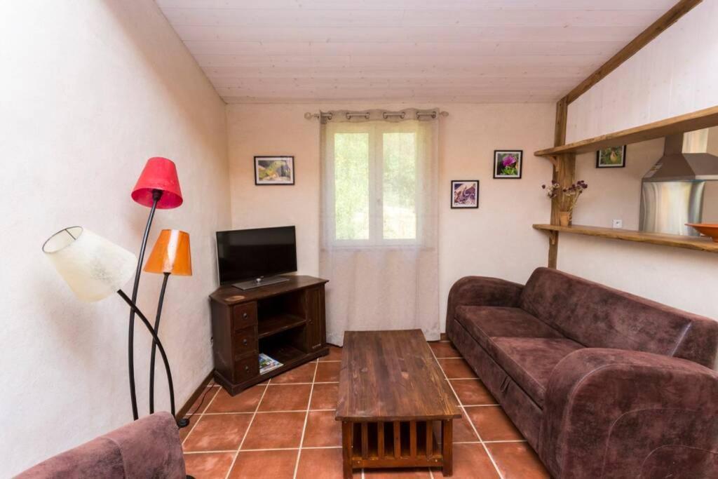 L'Arbre A Soleil Villa Aigues-Vives  Ngoại thất bức ảnh