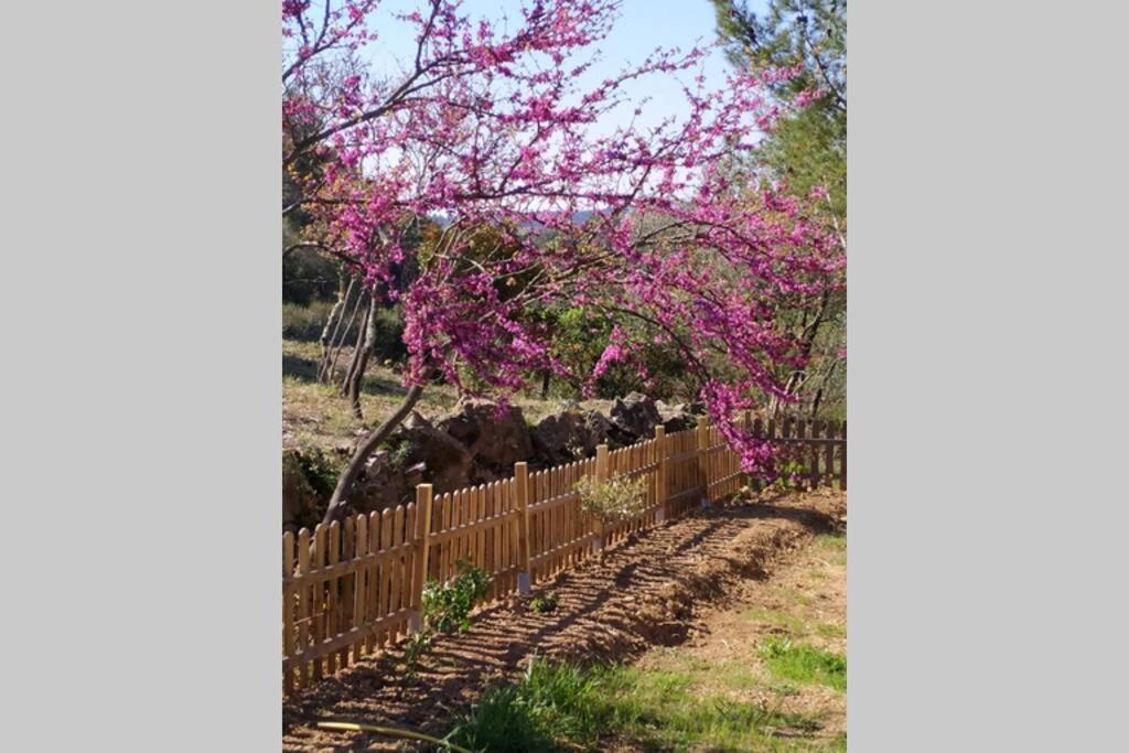 L'Arbre A Soleil Villa Aigues-Vives  Ngoại thất bức ảnh